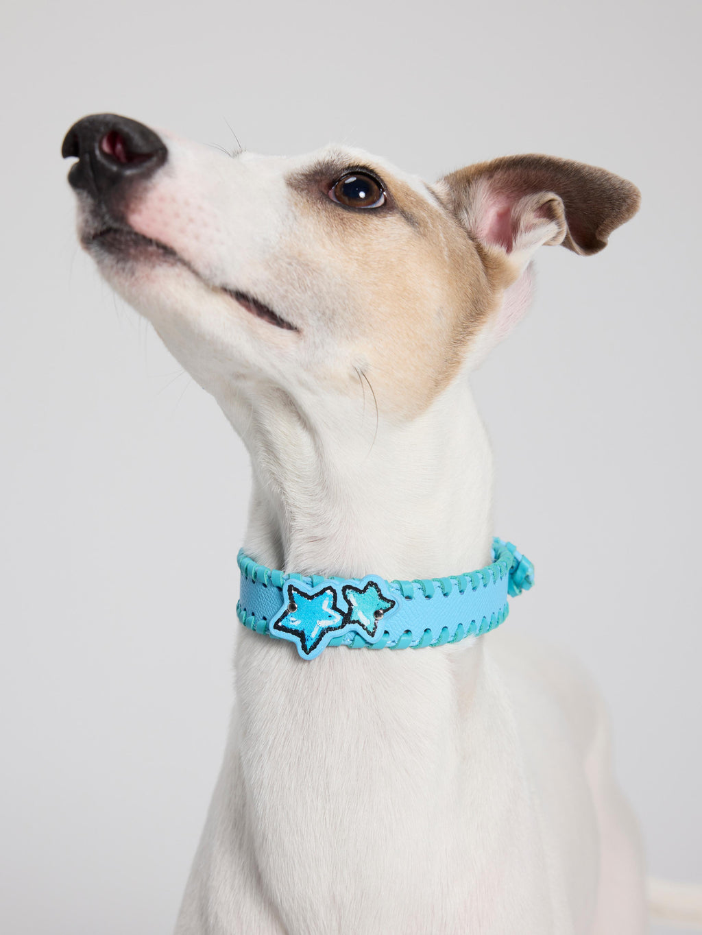 Star Leather Woven Collar