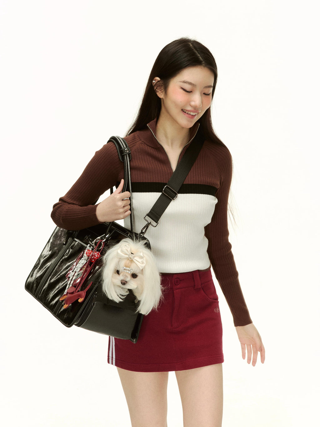 Briefcase/Car bag