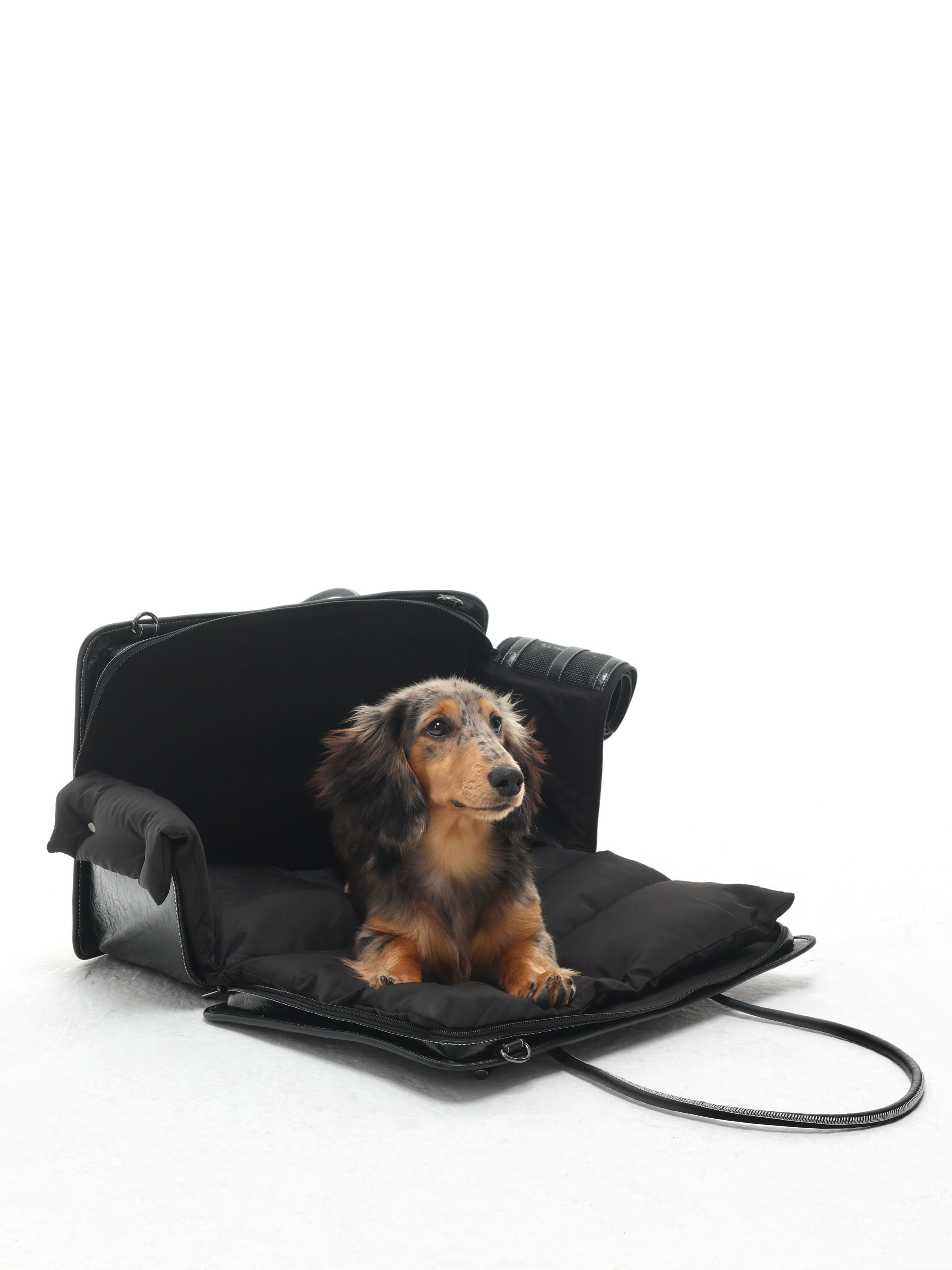 Briefcase/Car bag