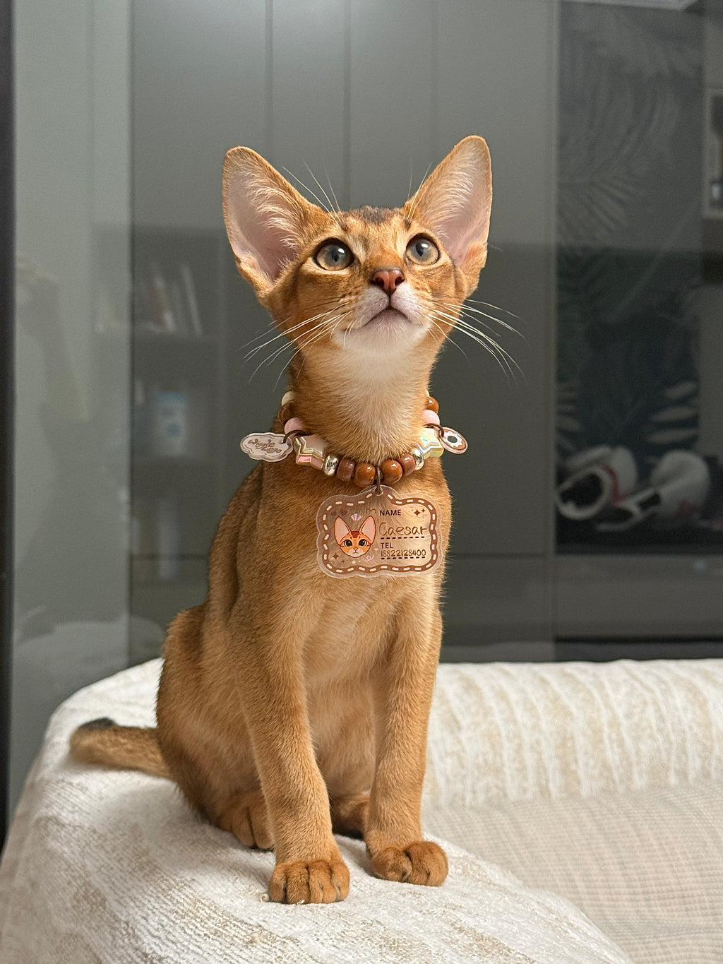Personalised ID Tag Necklace-Caramelised Nuts